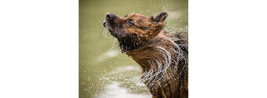 Full HD High-Speed Recording for Slow Motion Playback